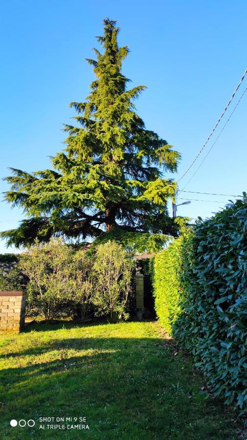 Il Cedro Bed & Breakfast San Pier d'Isonzo Luaran gambar